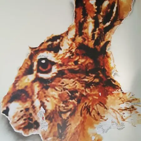 Ubytování v soukromí La Des Champs *