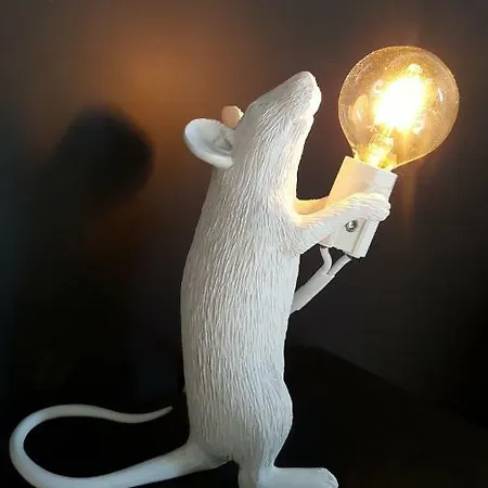 La Des Champs * Lille