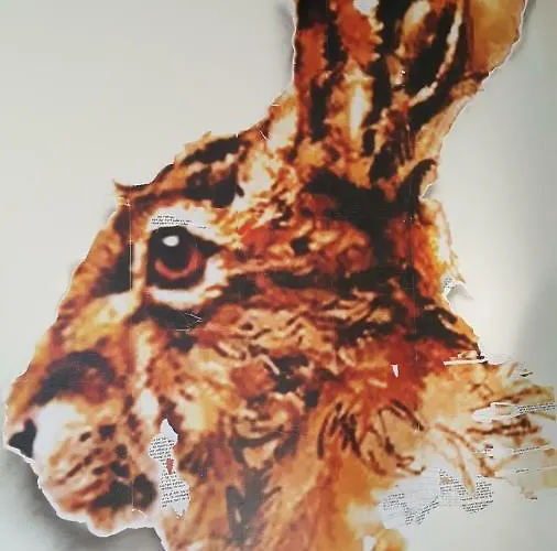 Accommodatie bij particulieren La Des Champs *